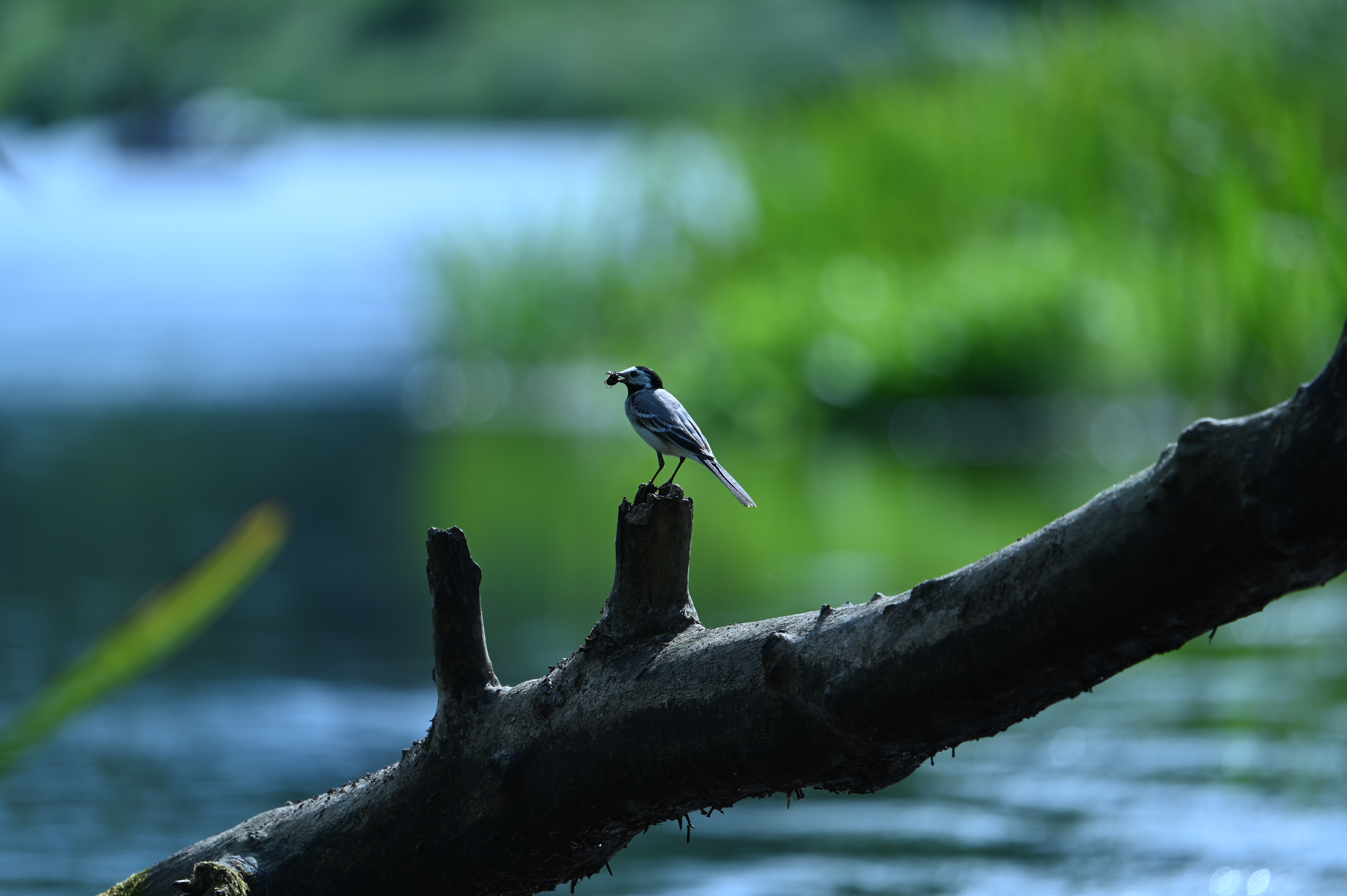 2025/07/09-14 - trip/DSC_0348.JPG